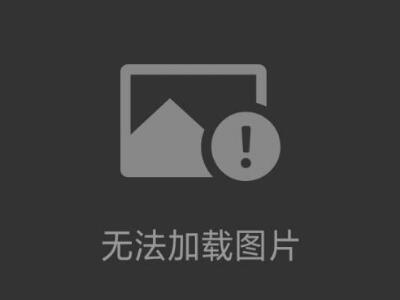 新品   THOMAS 托馬斯 恒溫設備過熱防止裝置